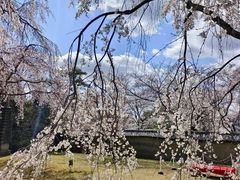 -醍醐寺