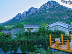 -禅宗少林·音乐大典