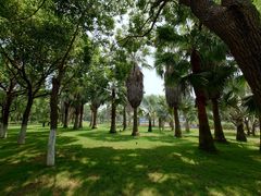 -厦门国家会计学院