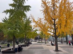 -大慈恩寺(大雁塔)