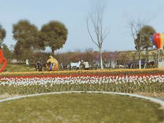 -杭州湾海上花田景区