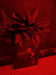 -Yestar杭州艺星医疗美容医院