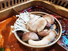 -雾都渣渣火锅(南城智汇城店)