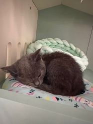 -RnD瑷缇专业美甲美睫