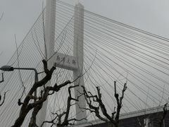 -上海南浦大桥长途旅游客运站