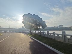 -南宁南湖公园