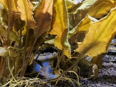 -上海海洋水族馆