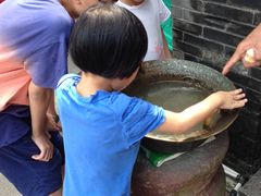 -碧江金楼