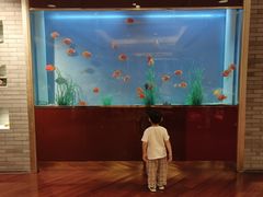 -阳澄湖费尔蒙酒店颐丰阁中餐厅(马鞍山西路店)