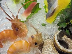 -上井精致料理自助餐(松雷店)