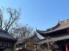 -灵谷景区