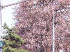 -亦庄创意生活广场