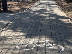 -长春市南湖公园