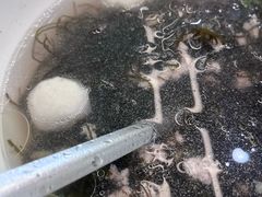 -众味海鲜大排档·活海鲜·潮汕味(南澳店)