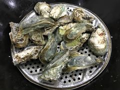 -蚝专家(北滘店)