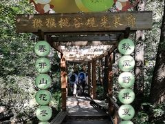 -大岭沟猕猴桃谷风景区