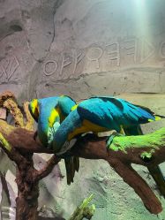 -Zoolung Zoolung动物主题公园(海信广场店)