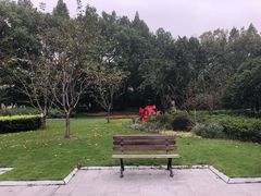 -徐家汇源景区-衡山公园