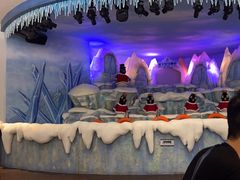 -帝企鹅自助餐厅•儿童岛•真企鹅(长隆企鹅酒店)