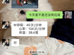 -特一安24小时宠物医院·骨科·中兽医