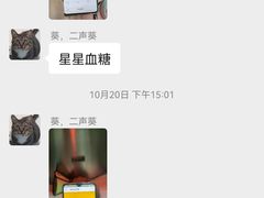 -睿金宠物医院·CT·肿瘤·骨外科