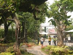 -Chom Cafe and Restaurant