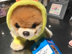-星巴克(武汉协和医院店)