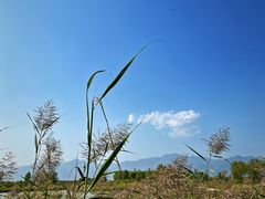 -野鸭湖国家湿地公园
