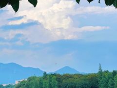 -飞来湖湿地公园