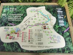 -野象谷景区
