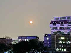 -潮发潮汕牛肉店(龙洞店)