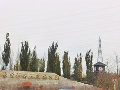 -永定河休闲森林公园