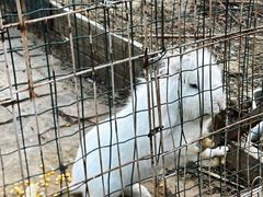 -意大利农场度假村