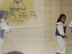 -勇气斑马·巴西柔术&跆拳道(浦东三林店)