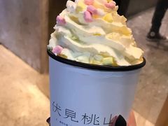-伏小桃(明瓦廊店)