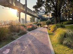 -北外滩滨江绿地