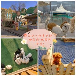 -萌宠亲子动物乐园(槐房万达店)