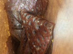 -香糯炎荞饼王(解放碑店)