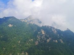 -中原大佛景区