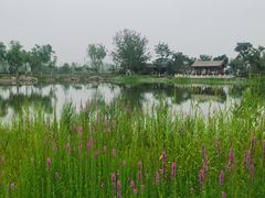 -西海子公园