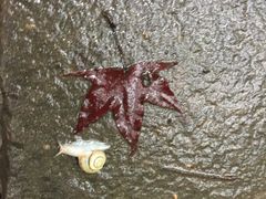 -九鼎铁刹山风景区