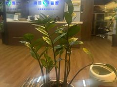 -肩颈管家·肩颈调理·经络养生(华景新城店)