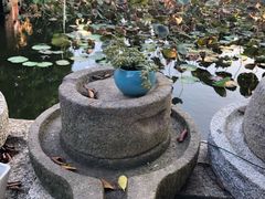 -烟桥私房菜馆(奋哥)
