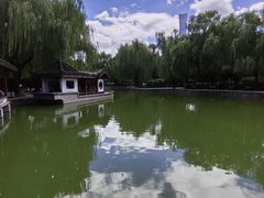 -团结湖公园