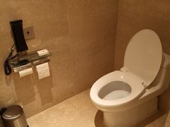 -广州白天鹅宾馆