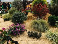 -重庆市江北嘴中央商务区中央公园