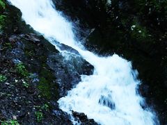 -凤凰山国家森林公园