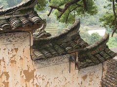 -杨家堂村