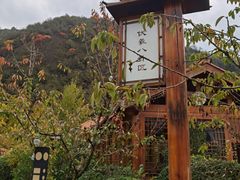 -麦积山温泉