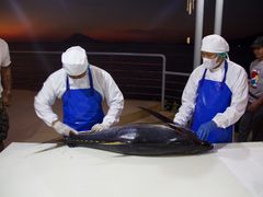 -海盗餐厅